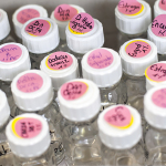 photographe_professionnel_reportage_la_reunion_974